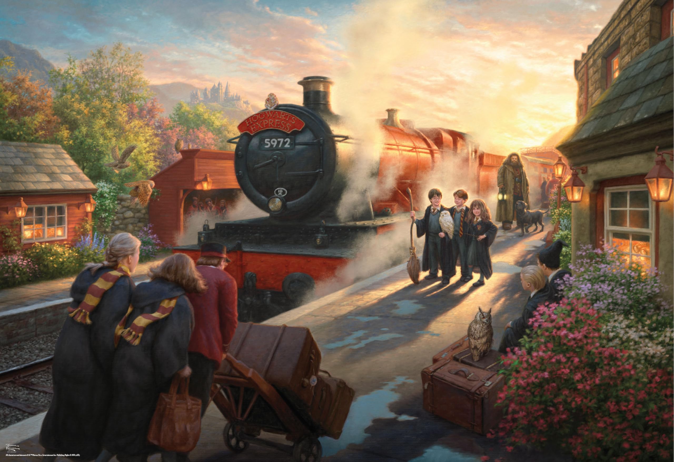 Amazon.com: Ceaco - Harry Potter - Hogwarts Express- 1500 Piece
